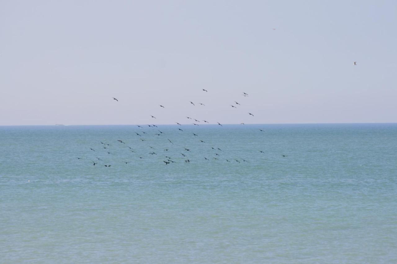 A Cote De La Mer Ault Εξωτερικό φωτογραφία